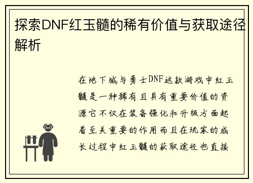 探索DNF红玉髓的稀有价值与获取途径解析